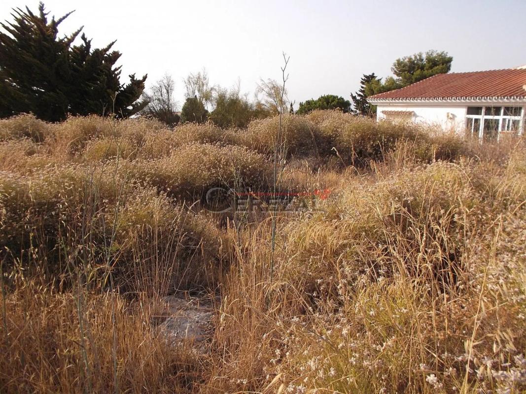 Land for sale in Benajarafe, Malaga photo 5