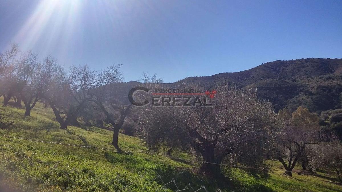 Terreno en venta en Riogordo, Malaga photo 4