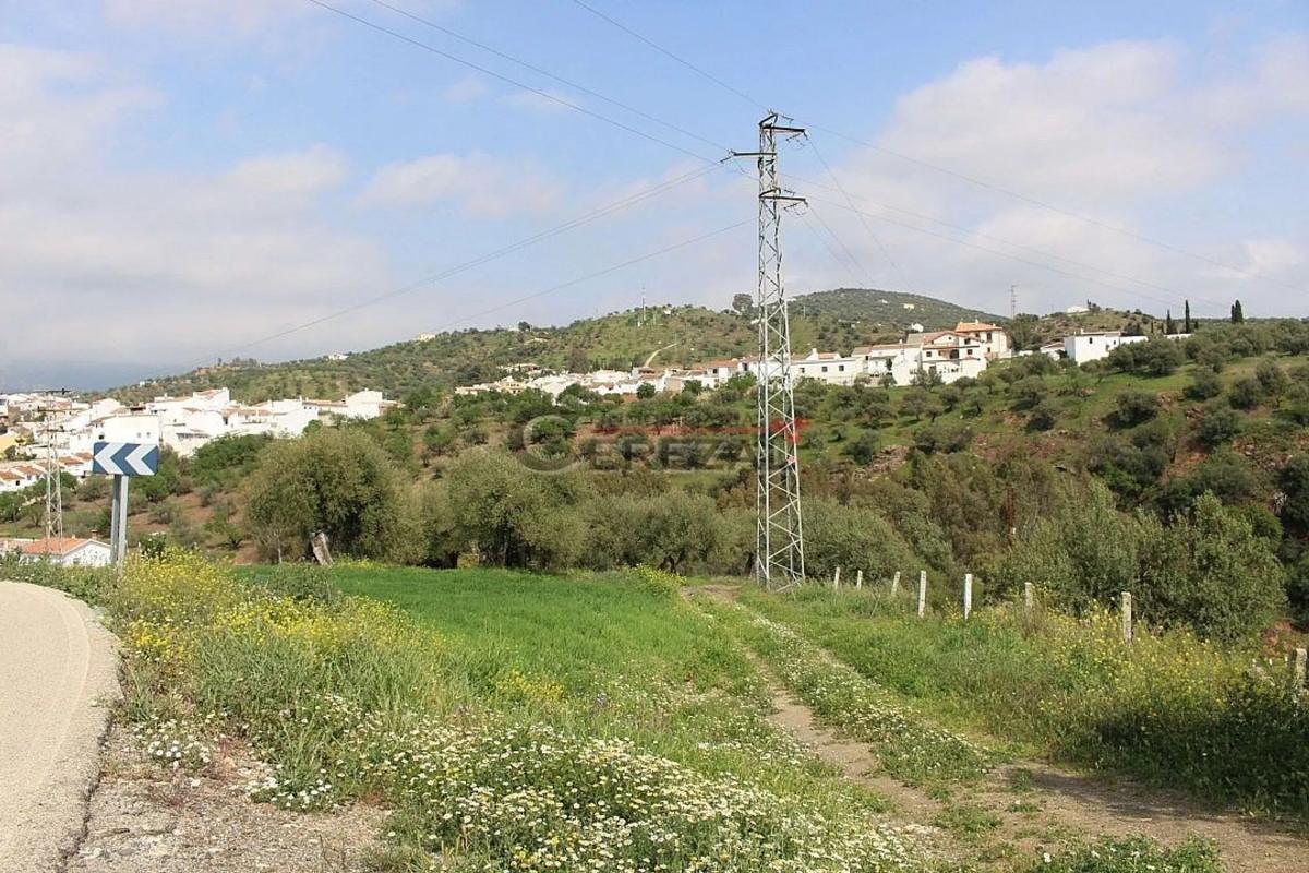Terreno en venta en Riogordo, Malaga photo 5