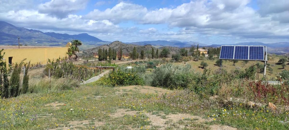 Land for sale in Coin, Malaga photo 4