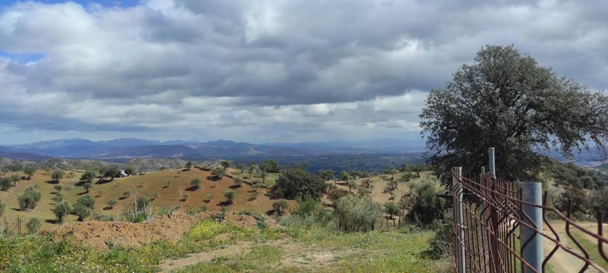 Land for sale in Coin, Malaga photo 5