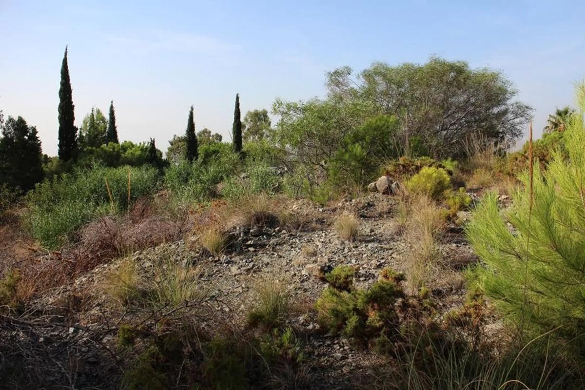 Terreno en venta en Mijas, Malaga photo 1