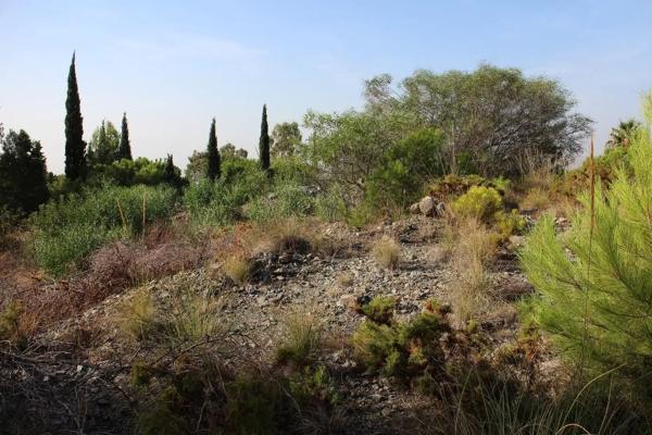Terreno en Valtocado - La Alquería - La Atalaya photo 1