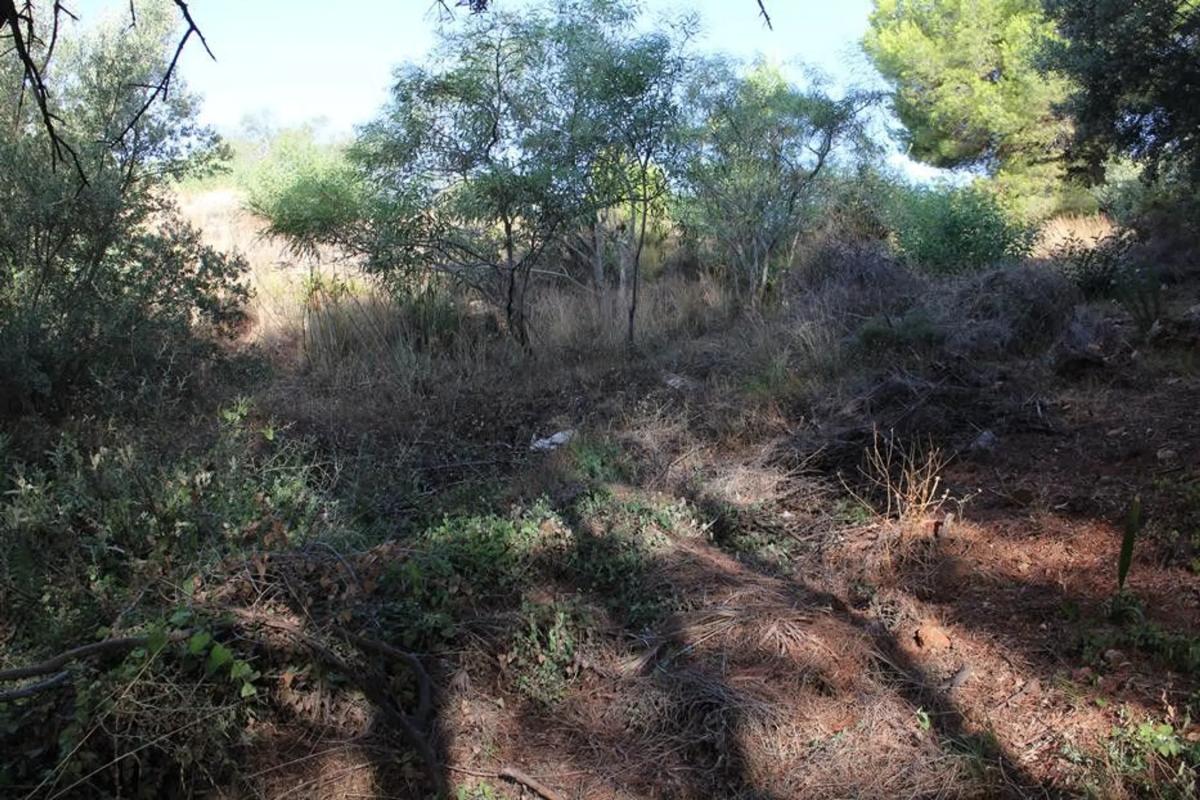 Terreno en venta en Mijas, Malaga photo 2