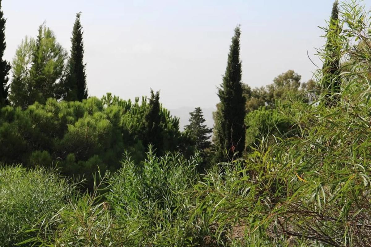 Terreno en venta en Mijas, Malaga photo 3