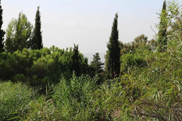 Terreno en Valtocado - La Alquería - La Atalaya photo 3