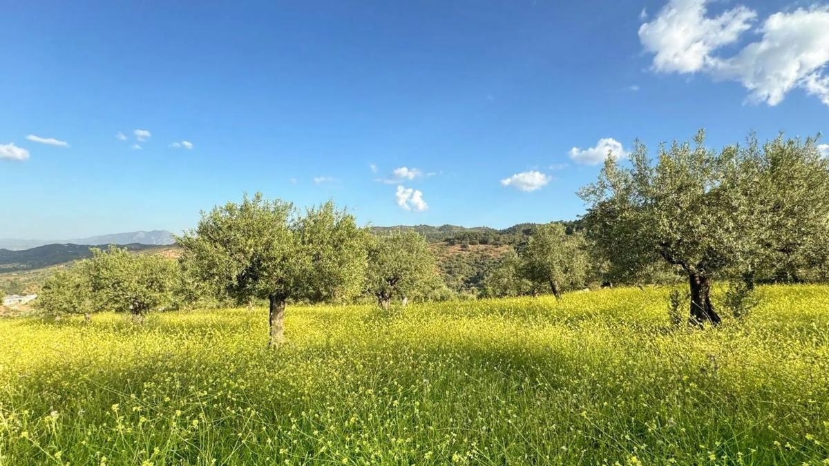 Terreno en venta en Tolox, Malaga photo 1