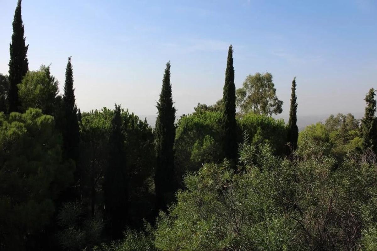 Terreno en venta en Mijas, Malaga photo 5