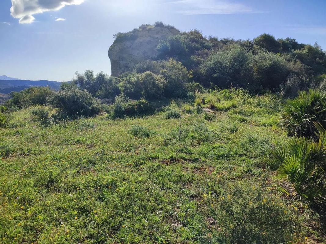 Land for sale in Estepona, Malaga photo 2