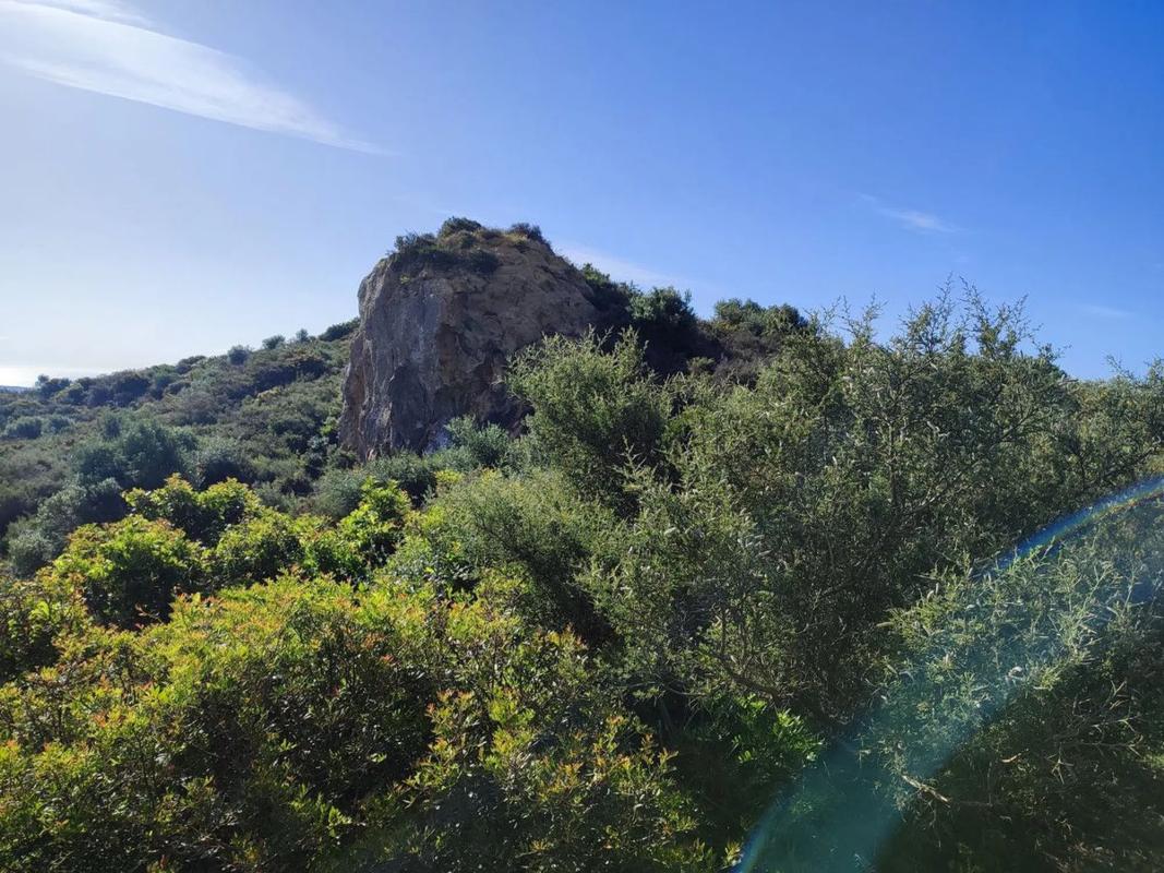 Land for sale in Estepona, Malaga photo 5