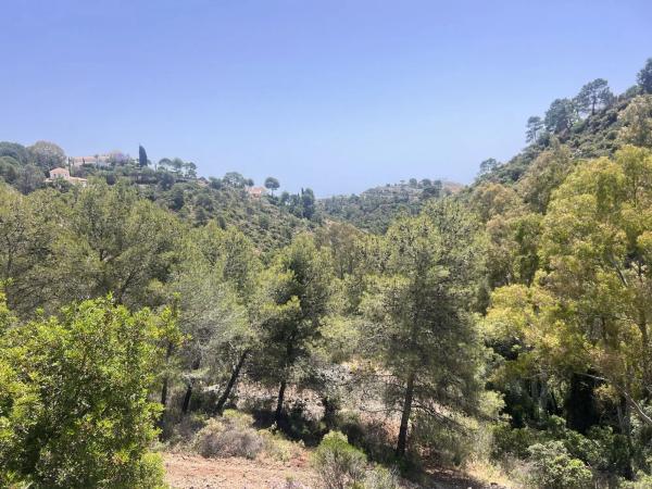 Terreno en El Madroñal photo 2