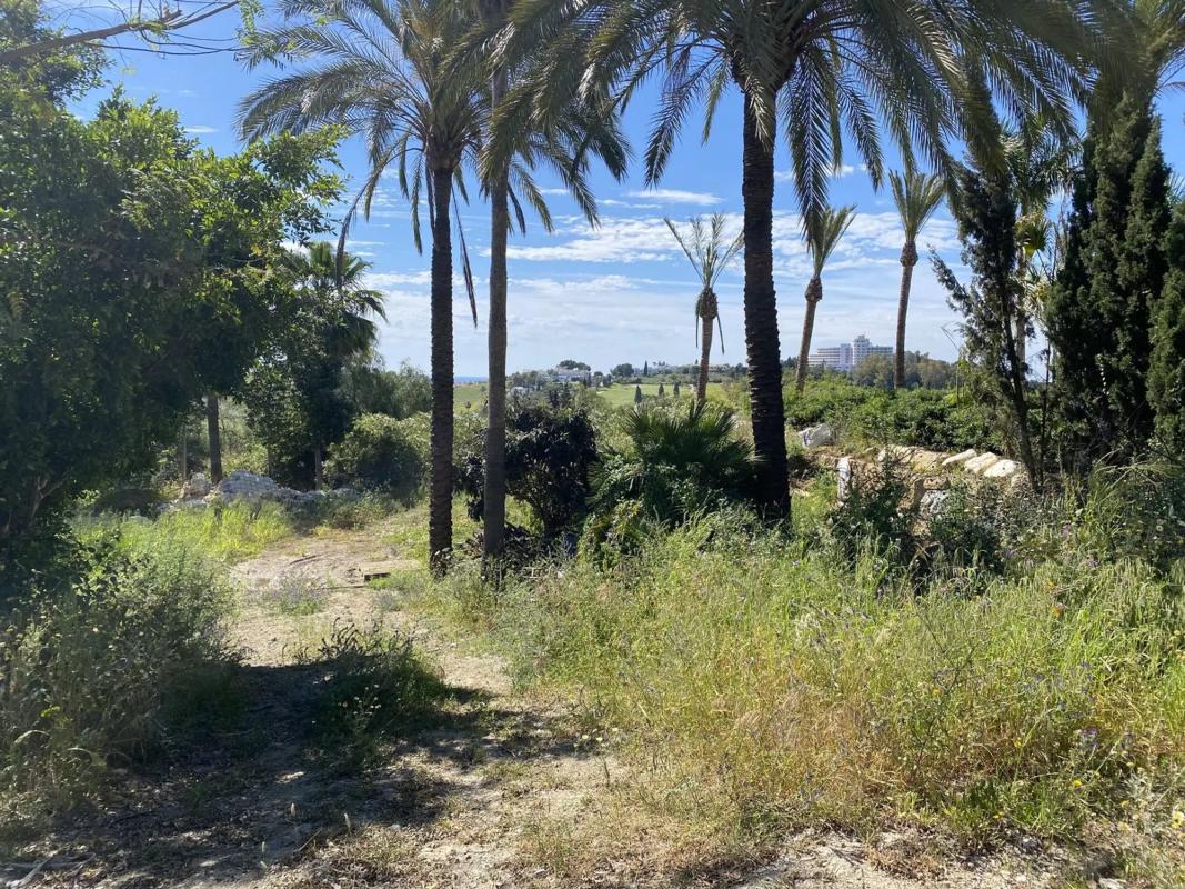 Terreno en venta en Benahavís, Malaga photo 1
