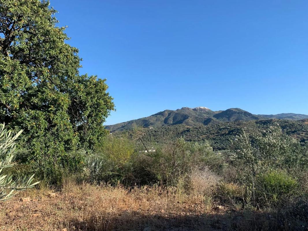 Terreno en venta en Cutar, Malaga photo 1