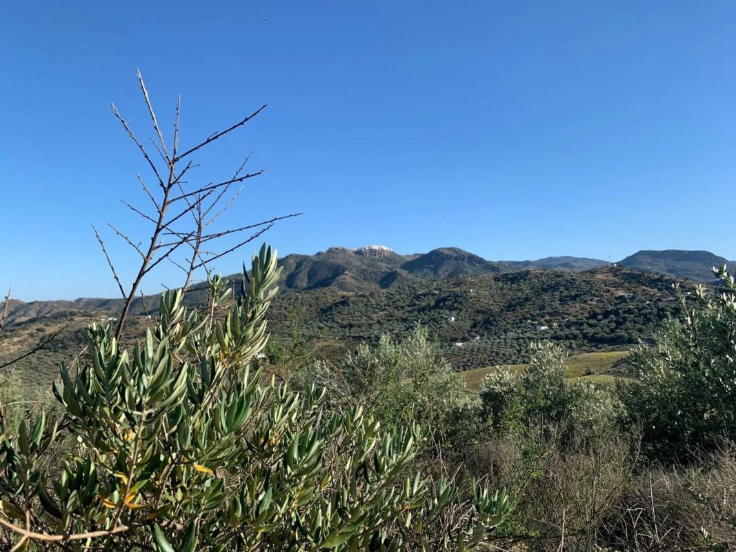 Terreno en venta en Cutar, Malaga photo 4
