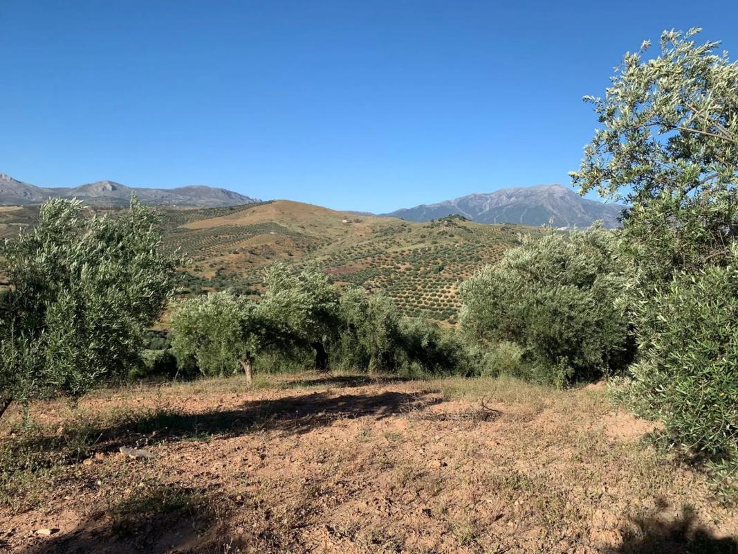 Terreno en venta en Cutar, Malaga photo 5