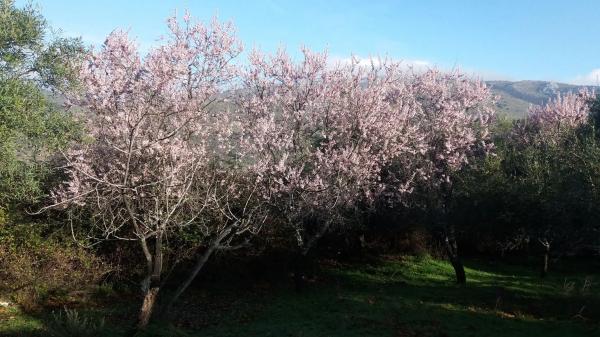 Terreno en A-369, 369 a photo 1