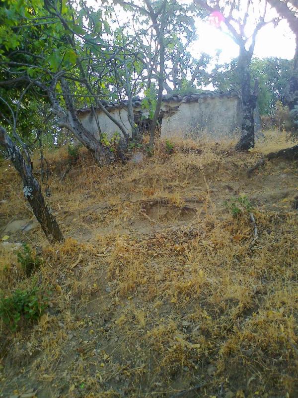 Land for sale in Atajate, Malaga photo 5
