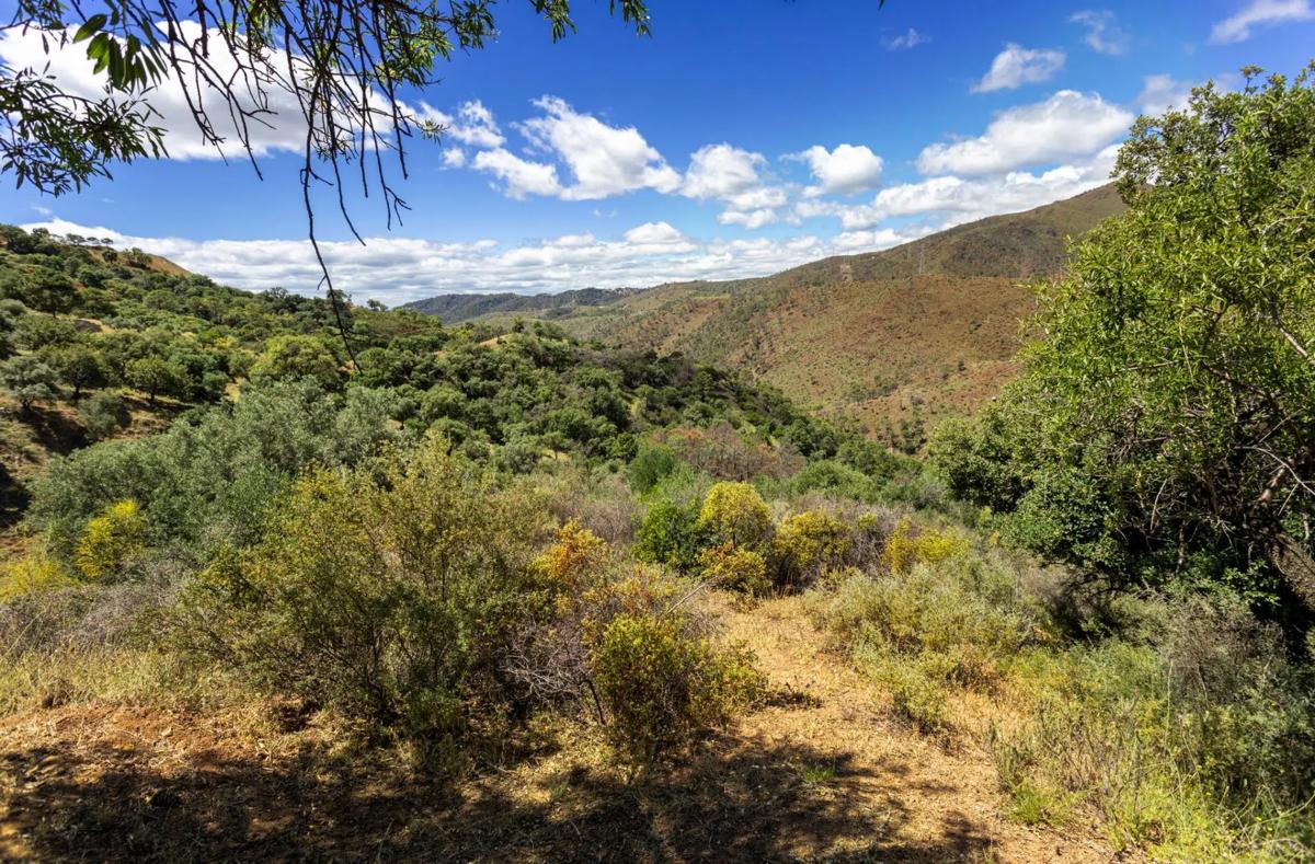 Terreno en venta en Benahavís, Malaga photo 1