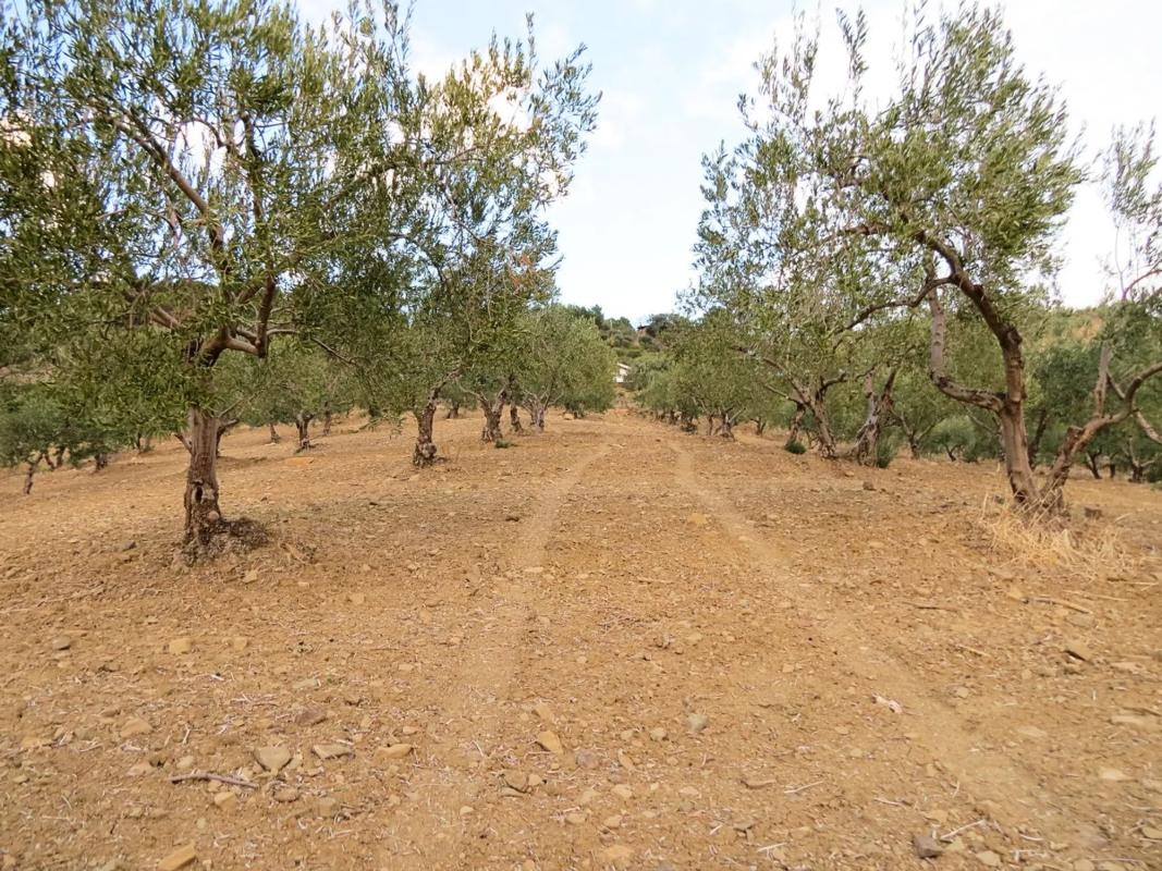 Участок земли на продажу в Касарабонела, Малага photo 1