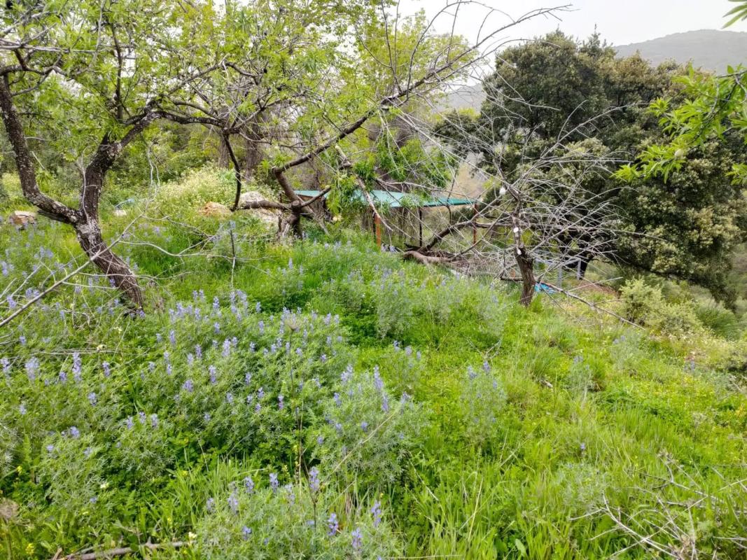 Działka na sprzedaż w Atajate, Malaga photo 3