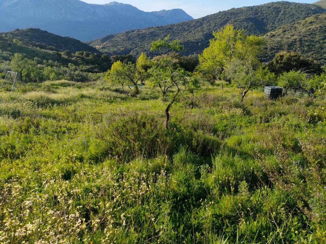 Działka na sprzedaż w Atajate, Malaga photo 4