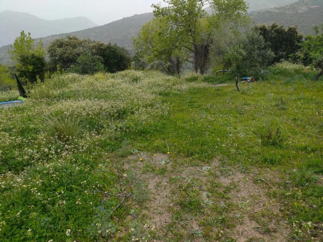 Działka na sprzedaż w Atajate, Malaga photo 5