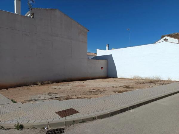 Terreno en calle Ficus, 2 photo 3