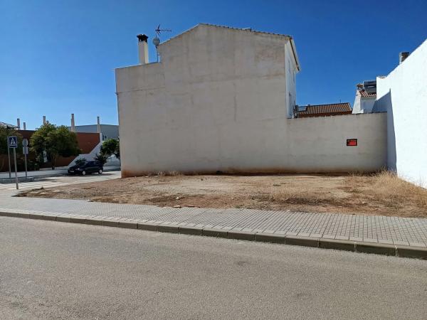 Terreno en calle Ficus, 2 photo 4