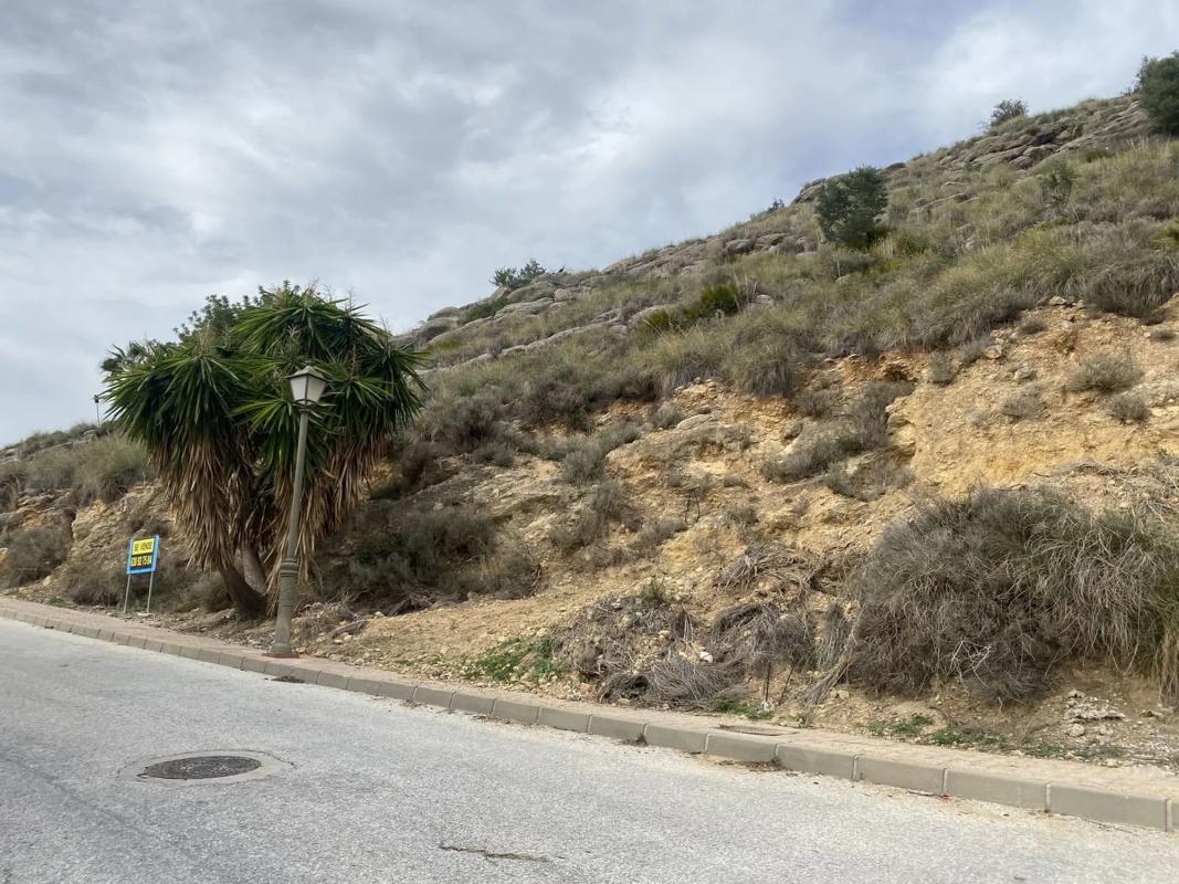 Land for sale in Coin, Malaga photo 2