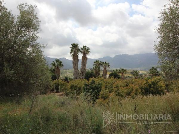 Terreno en Ardelejos - Cuesta de la Palma - Buenavista photo 1