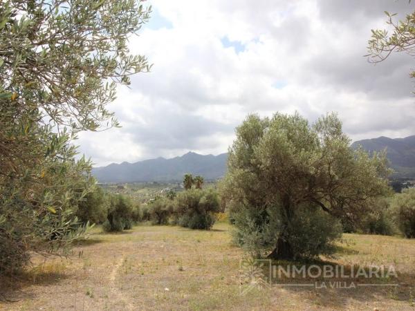 Terreno en Ardelejos - Cuesta de la Palma - Buenavista thumbnail 1