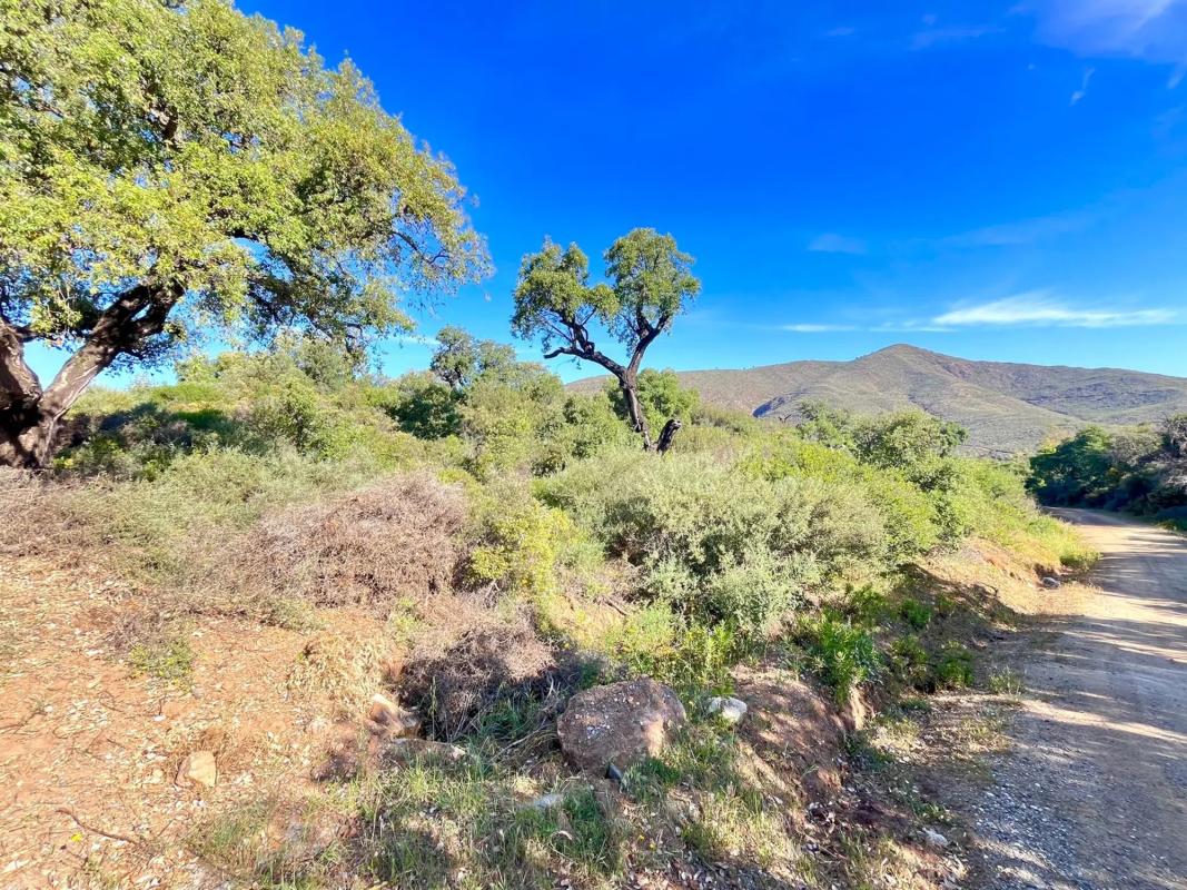 Land for sale in Mijas, Malaga photo 2