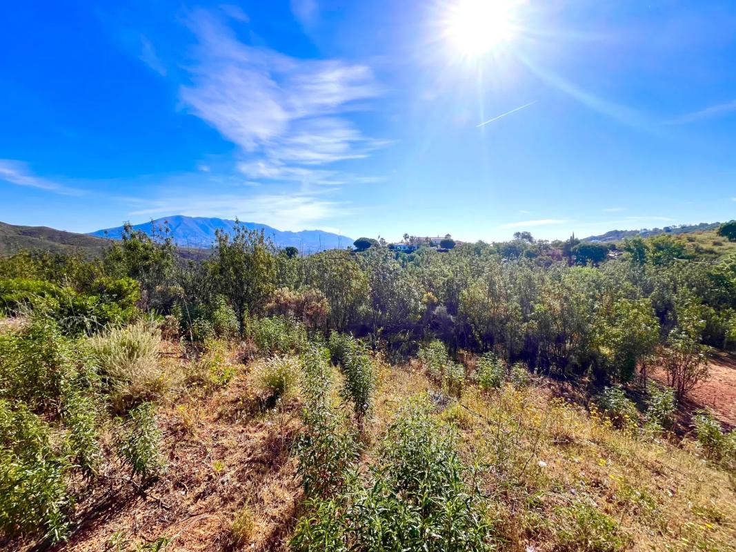 Land for sale in Mijas, Malaga photo 4