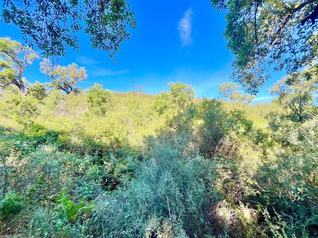 Land for sale in Mijas, Malaga photo 5