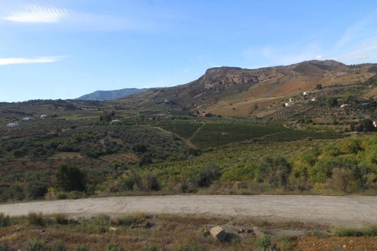 Działka na sprzedaż w Alora, Malaga photo 2