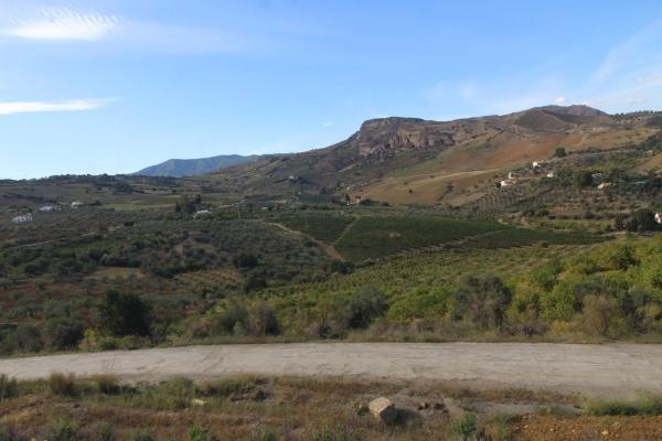 Terreno en Alora photo 2