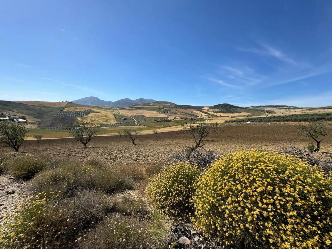 Działka na sprzedaż w Antequera, Malaga photo 3