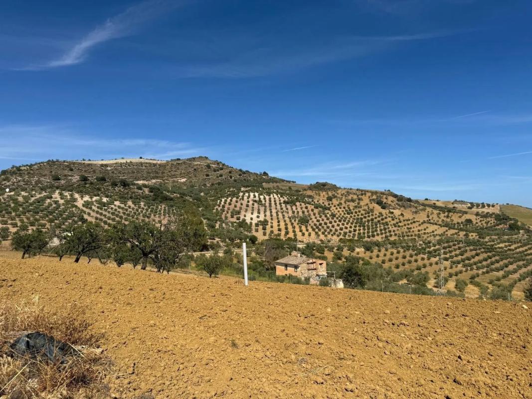 Działka na sprzedaż w Antequera, Malaga photo 4