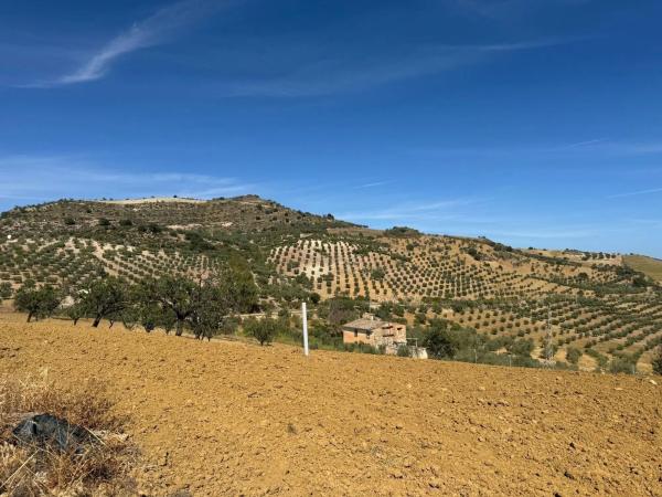 Terreno en Bobadilla - Bobadilla Estación - La Joya photo 4