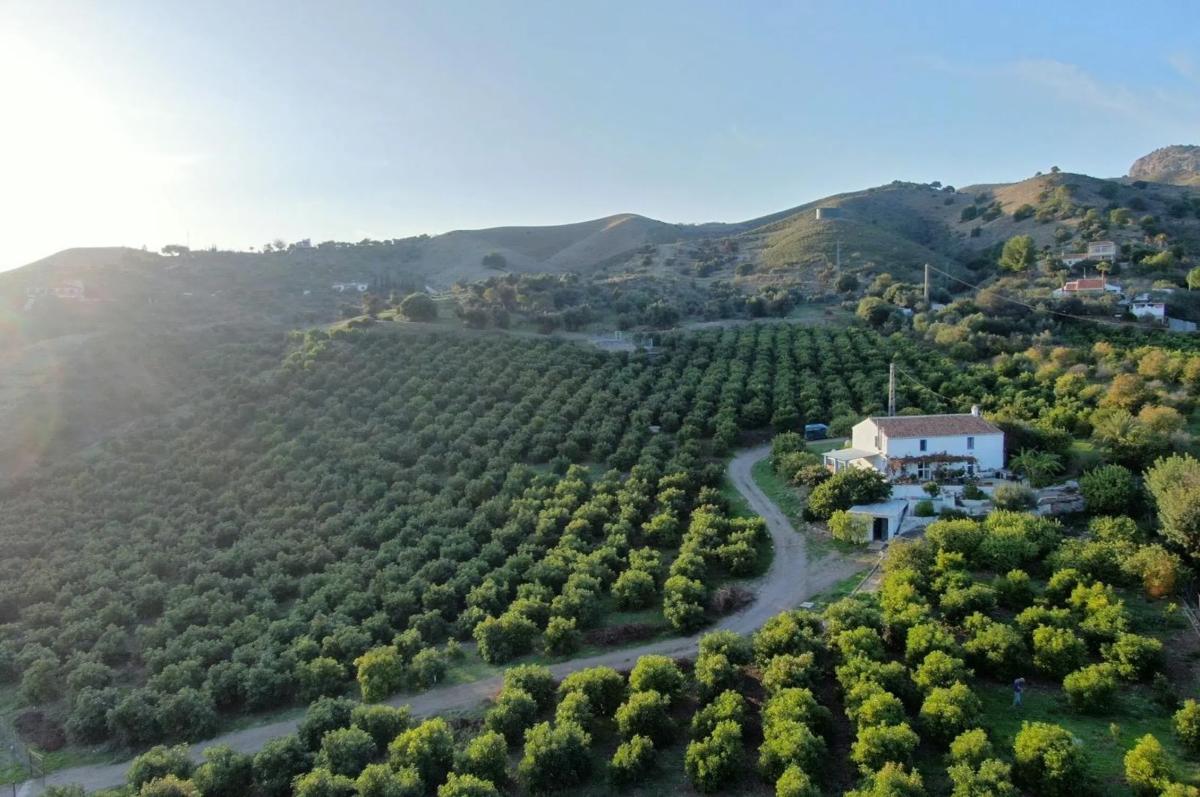 Land for sale in Alora, Malaga photo 4