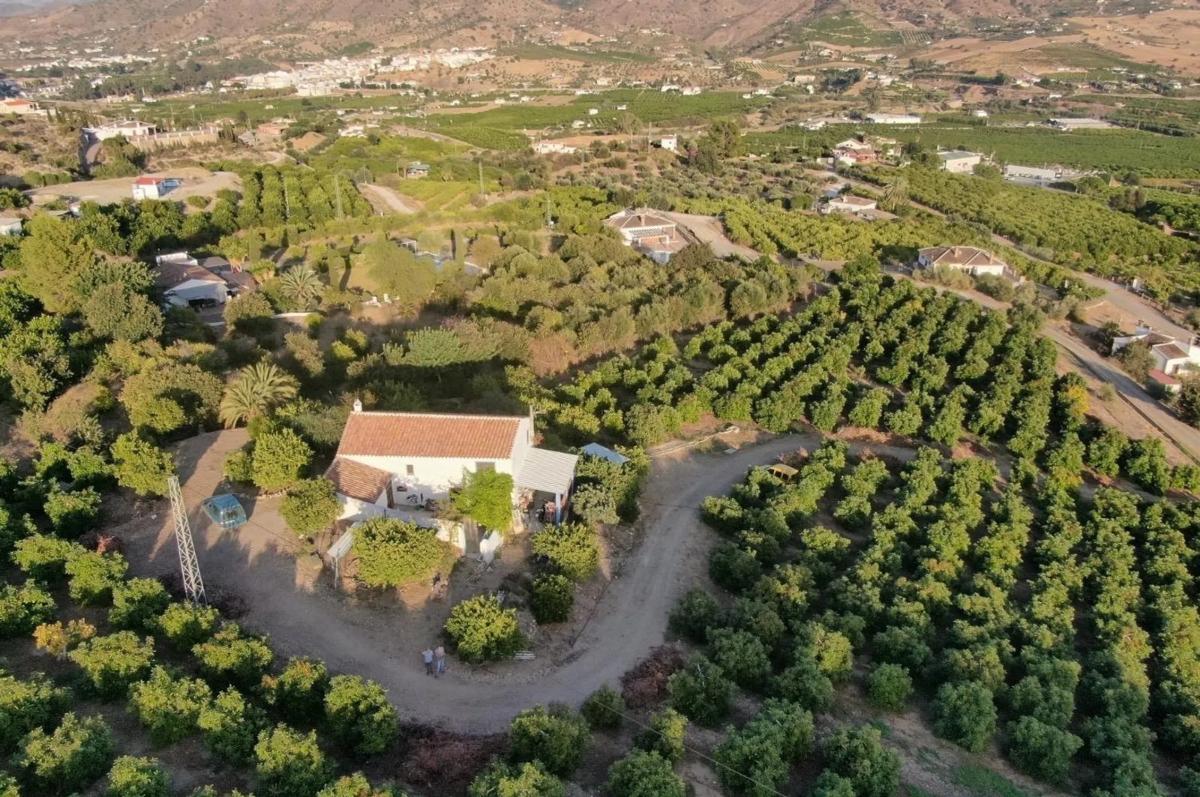 Land for sale in Alora, Malaga photo 5