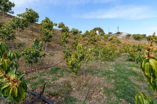 Terreno en Norte - Barrio del Pilar - El Reñidero photo 1