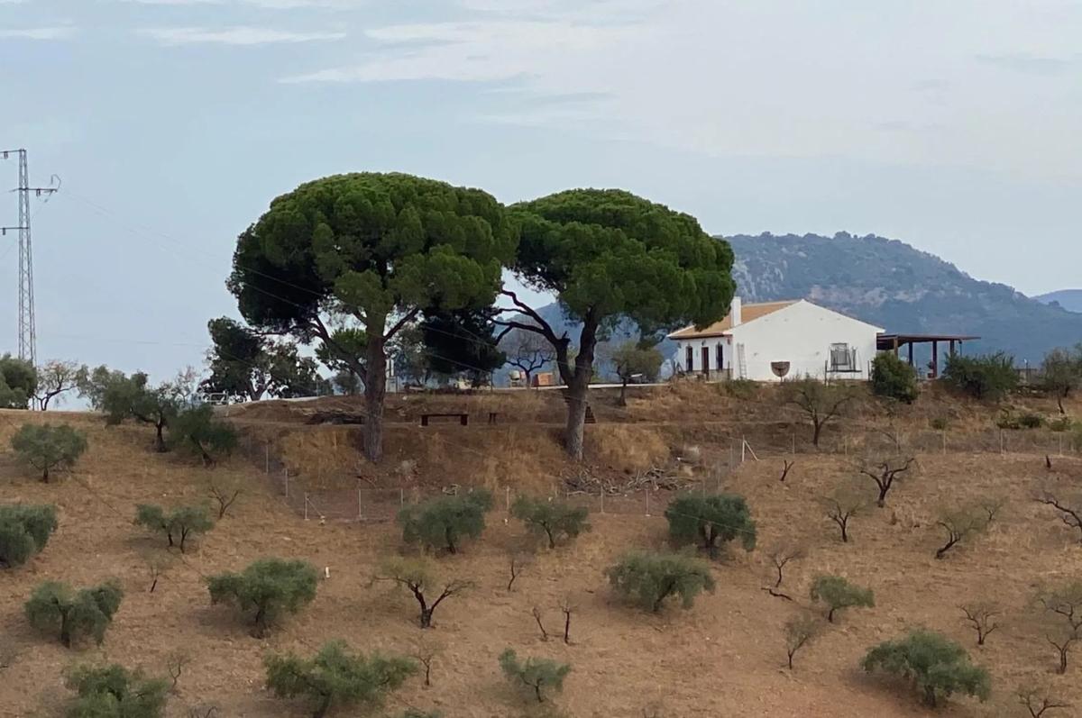 Terreno en venta en Colmenar, Malaga photo 3