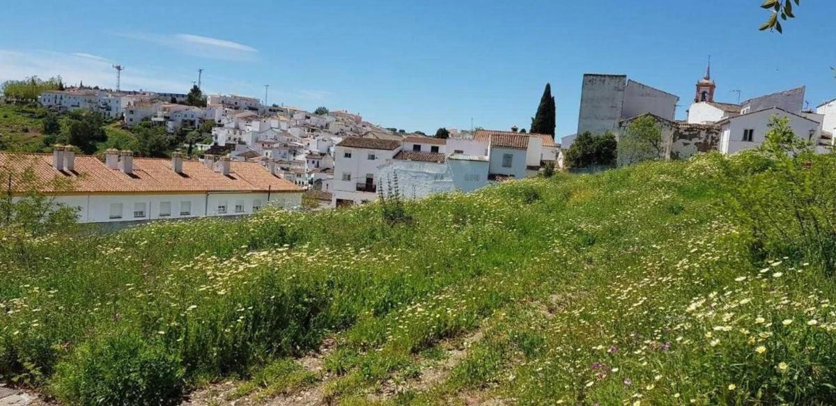 Działka na sprzedaż w Cortes de la Frontera, Malaga photo 3