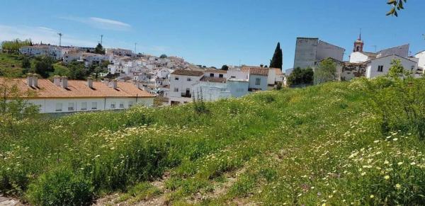 Terreno en avenida Acacias, 6 thumbnail 2