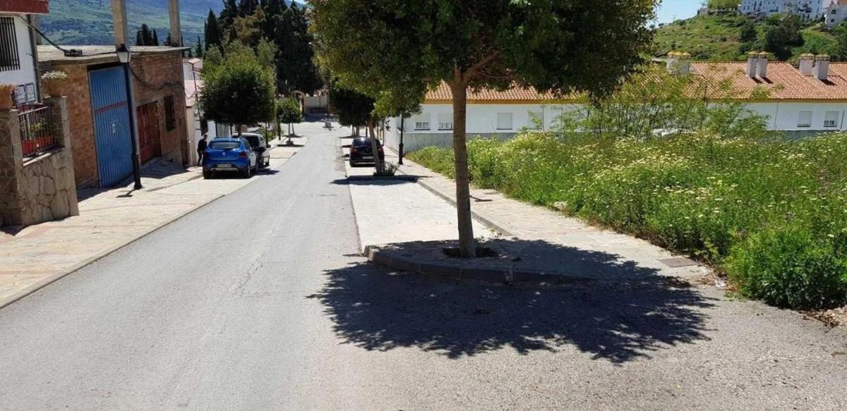 Działka na sprzedaż w Cortes de la Frontera, Malaga photo 4