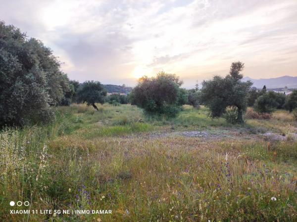 Terreno en Jardines de Alhaurín-Huerta Alta-Fuensanguínea photo