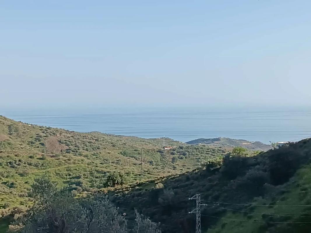Land for sale in Moclinejo, Malaga photo 1