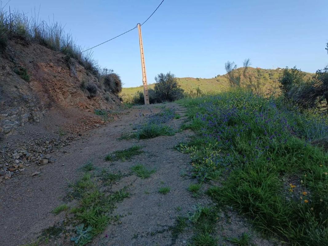Land for sale in Moclinejo, Malaga photo 3