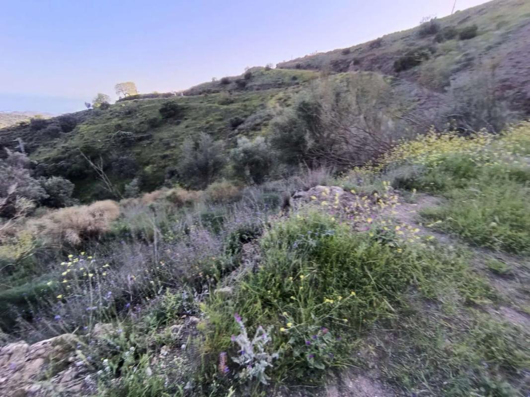 Land for sale in Moclinejo, Malaga photo 5